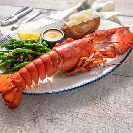 Red Lobster Daily Deals