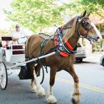 FREE carriage ride