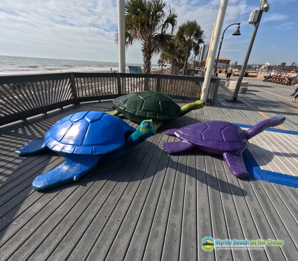 Boardwalk Selfie Station Turtles